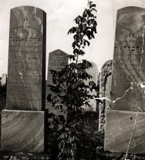 The gravestones of Gabor Paneth's paternal grandparents in the Papa Jewish cemetery
