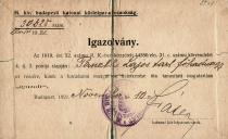 Gabor Paneth's father Lajos Paneth's certificate from the army