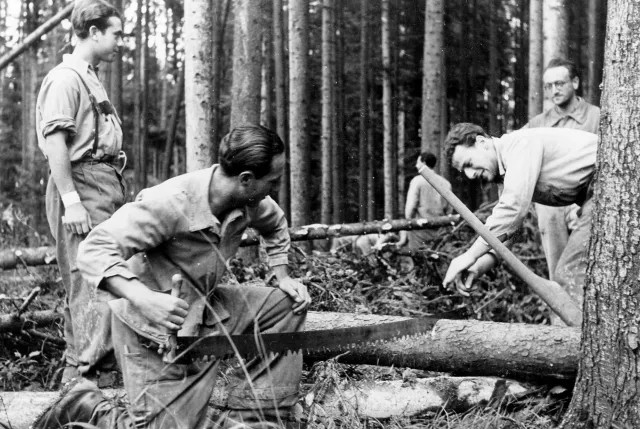 Wilhelm Steiner beim Holzschlagen in der Schweiz
