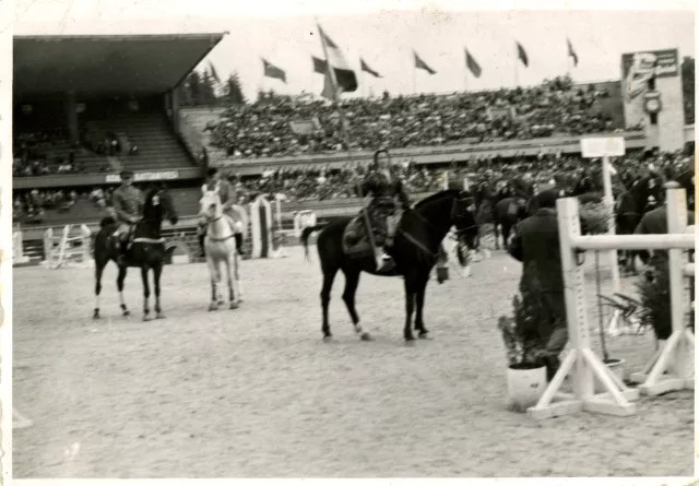 Güler Orgun at the International Horse Show in Istanbul