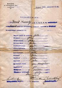 Karoly Izsak's certificate of the MIKEFE