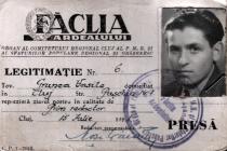 Vasile Grunea's journalist ID