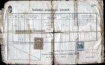 Birth certificate of Peter Reisz's aunt Ilona Breiner