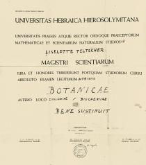 Liselotte Teltscherova's university certificate
