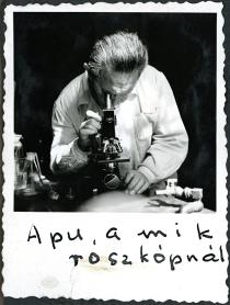 Haskó Lajos a mikroszkópnál